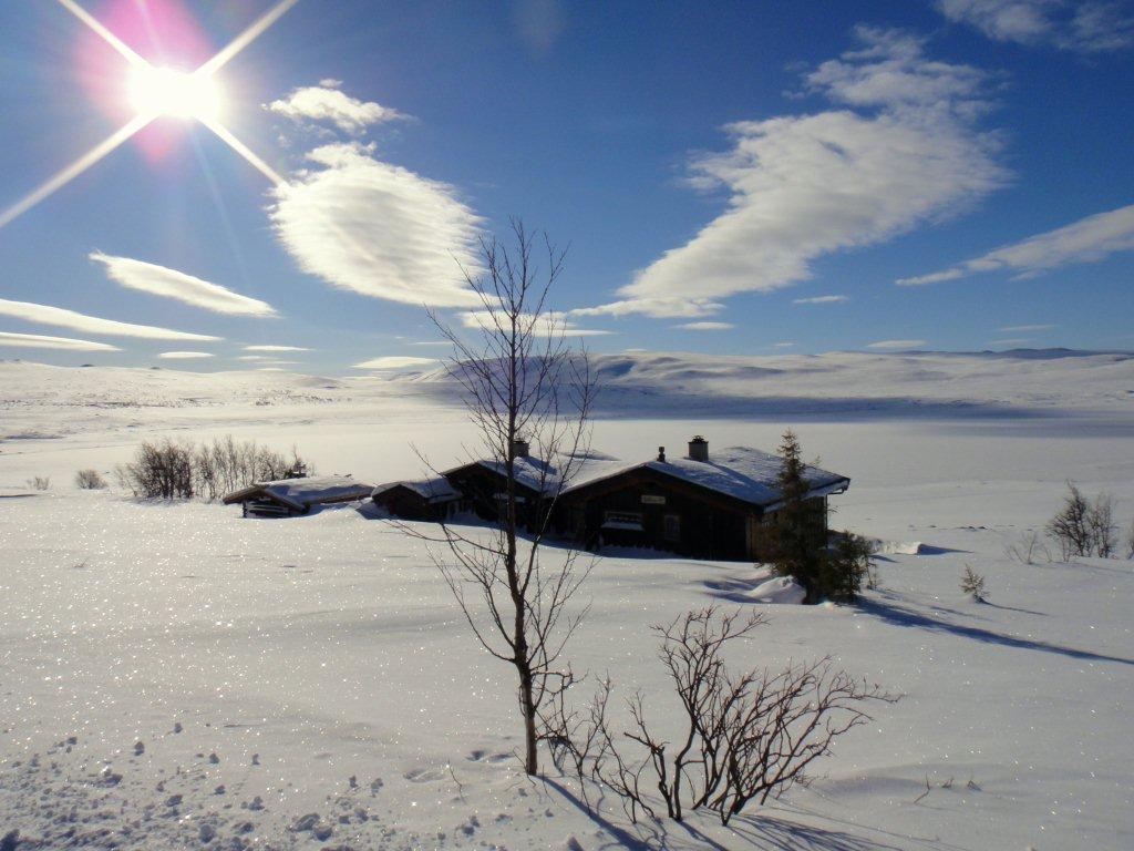 krajina na Hardangerviddě