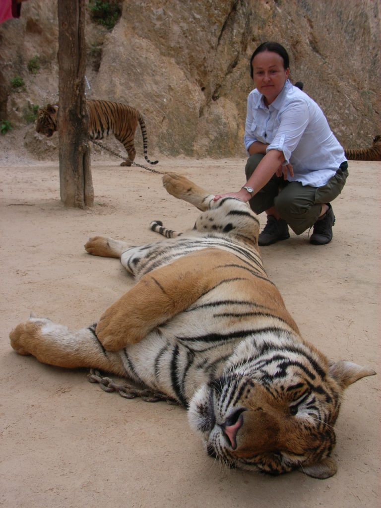 Tiger Temple