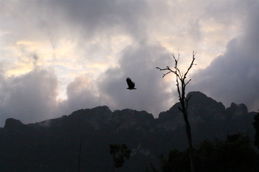 Khao Sok NP