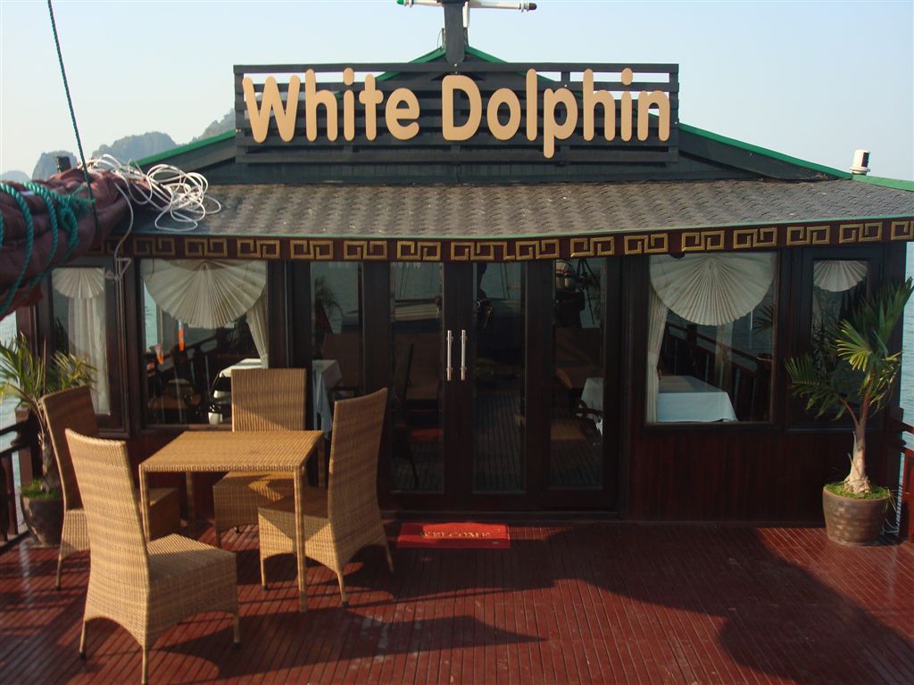  White Dolphin