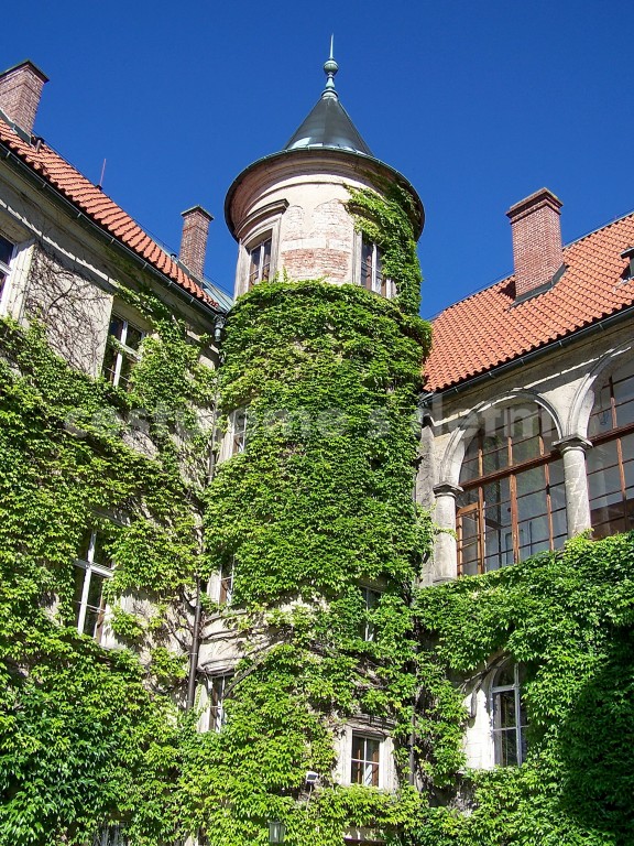 Český ráj