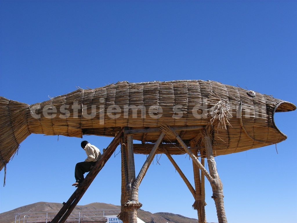 UROS
