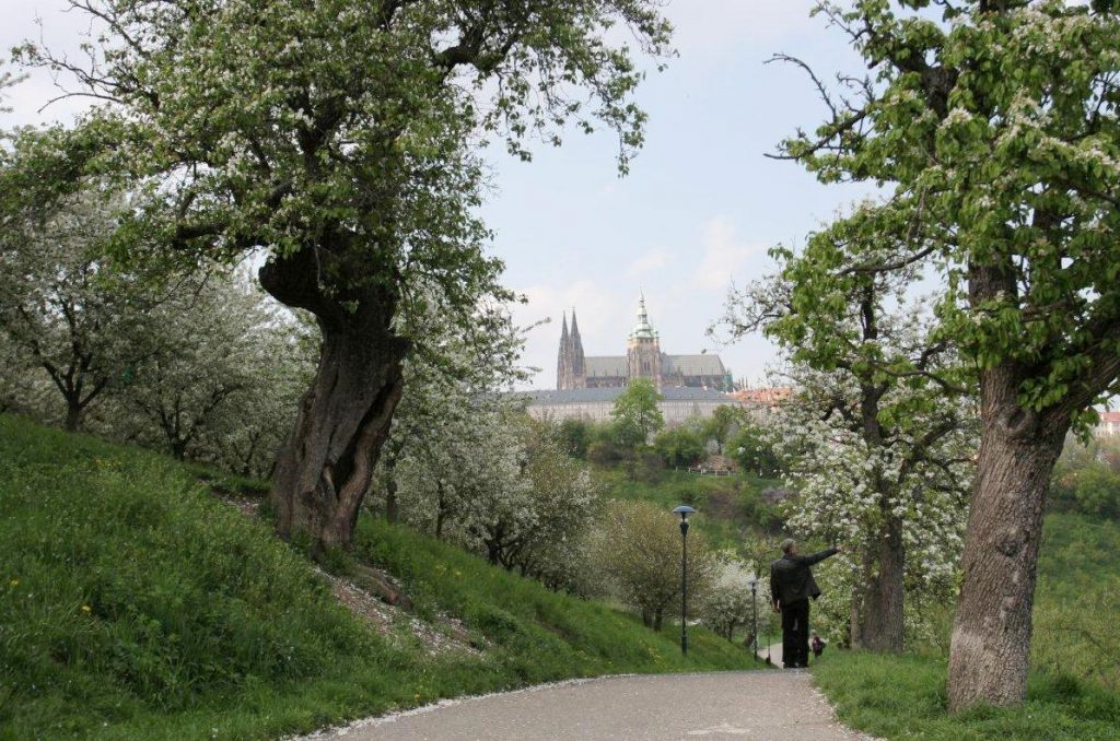 Petřín