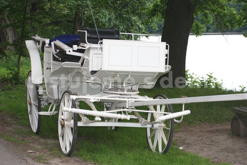 9207-konopiste__67_