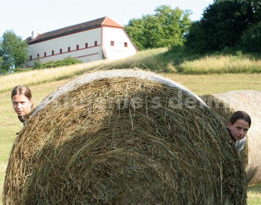 9700-kuks___2_