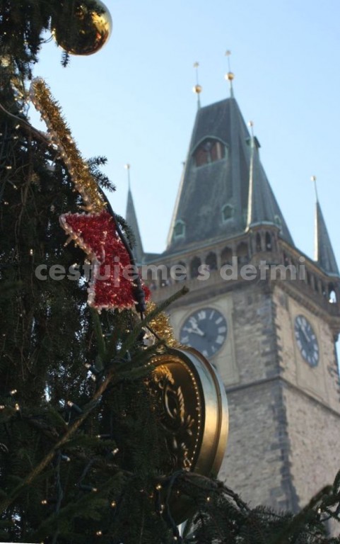 13746-vanocni_strom_praha_2011__12_