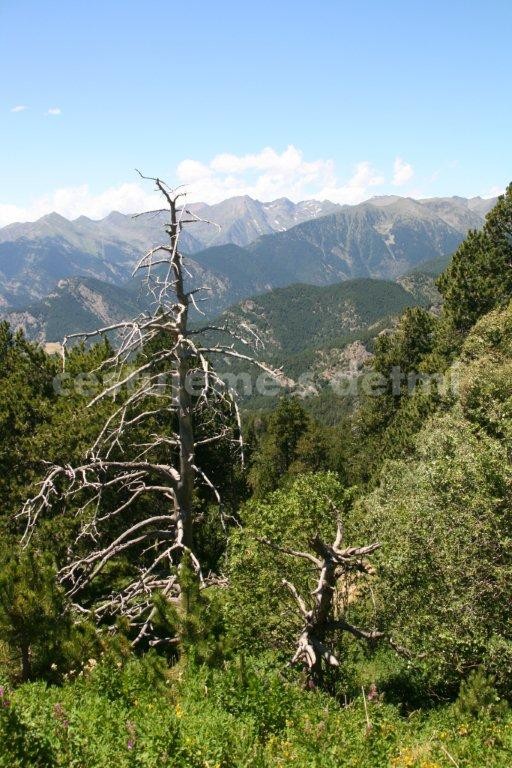 Andorra