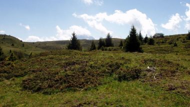 Planina Puflatsch