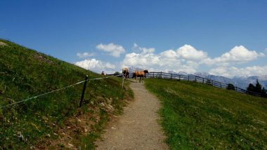 planina Puflatsch