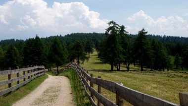 Planina Saltner