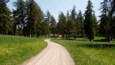 Planina Saltner