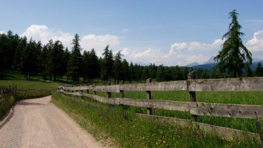 Planina Saltner