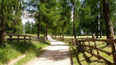 Planina Saltner