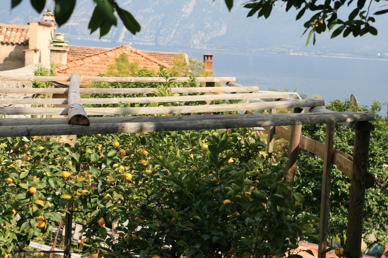 Limone Limone