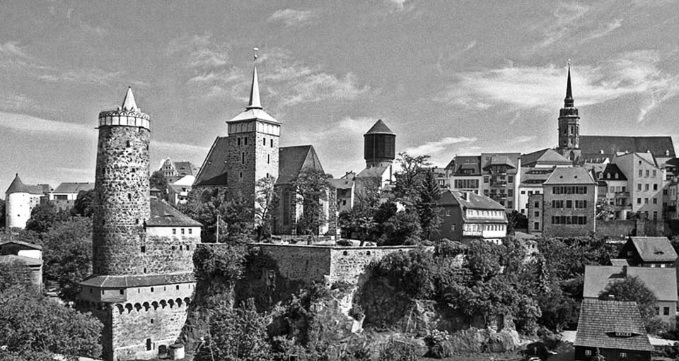 Bez názvu-1