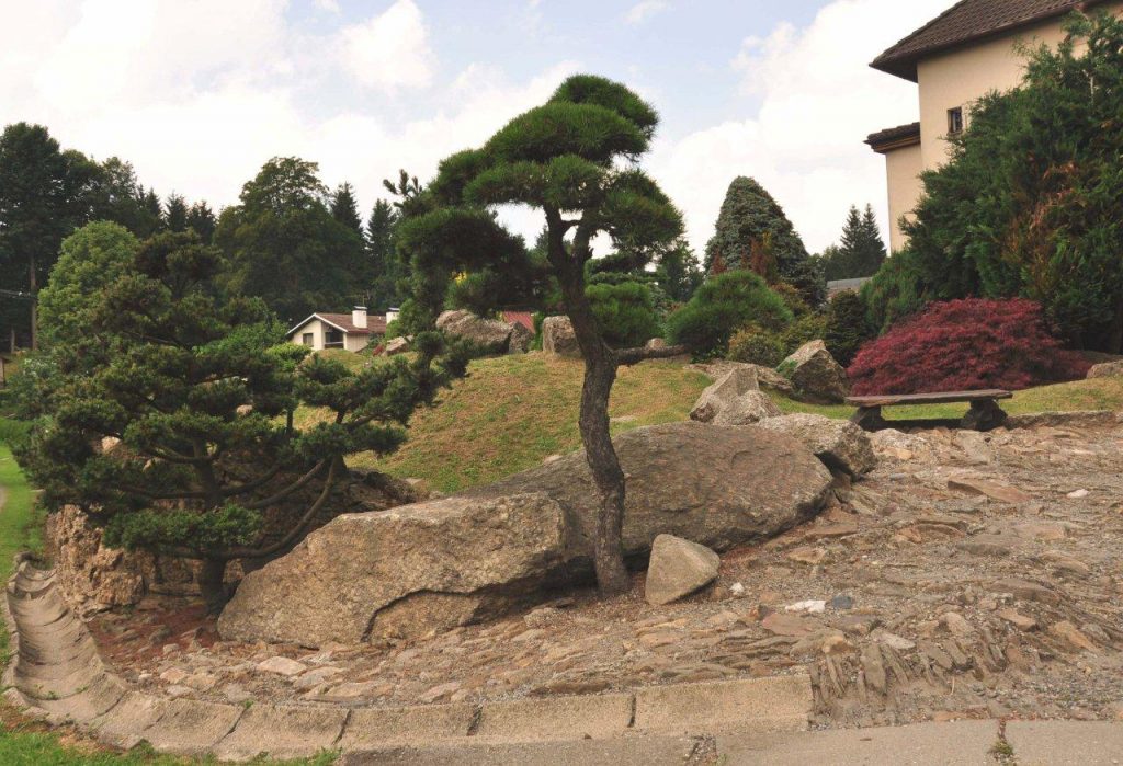 Japonská zahrada Sněžné (5)