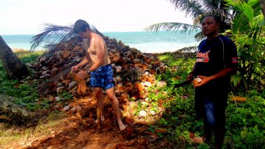 na ostrově - jak se dostat do kokosového ořechu
