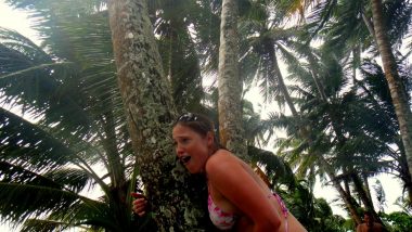 na ostrově - na palmě :)