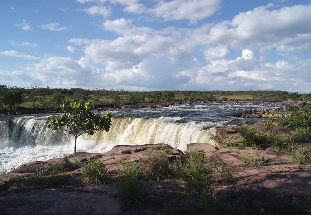Gran Sabana (20)