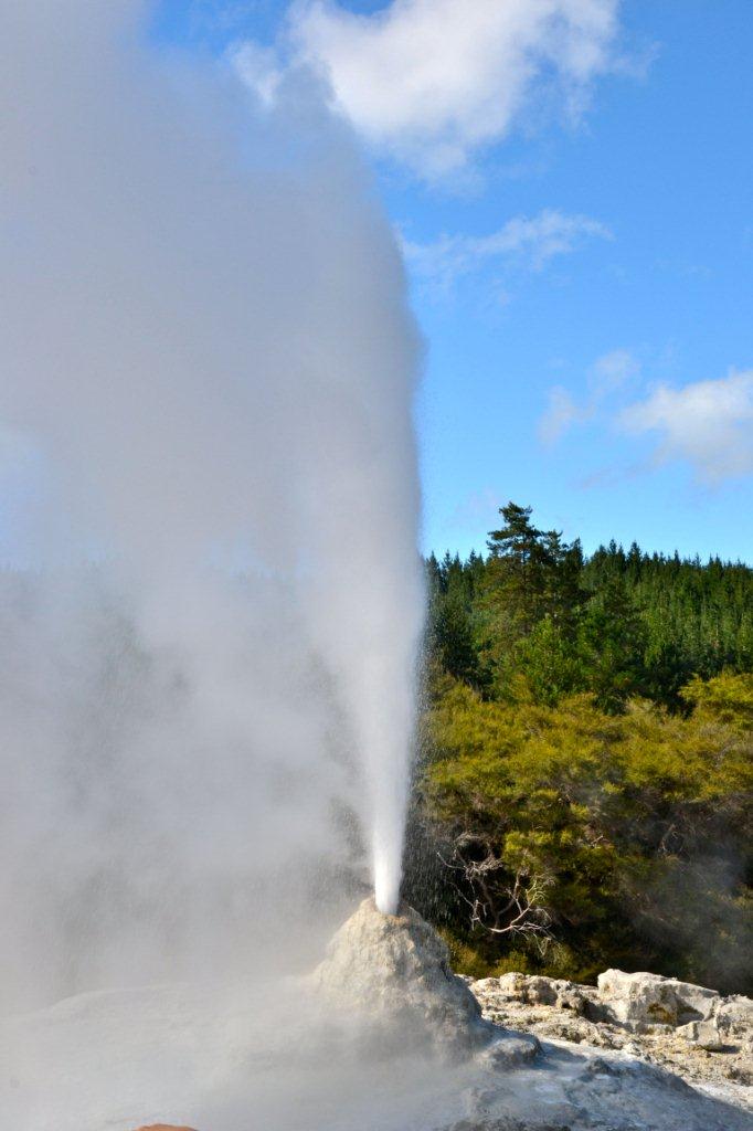 Gejzir Lady Knock Waiotapu 16.2. Gejzir Lady Knock Waiotapu