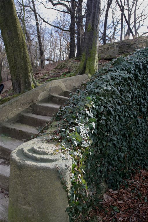 Cibulka 014