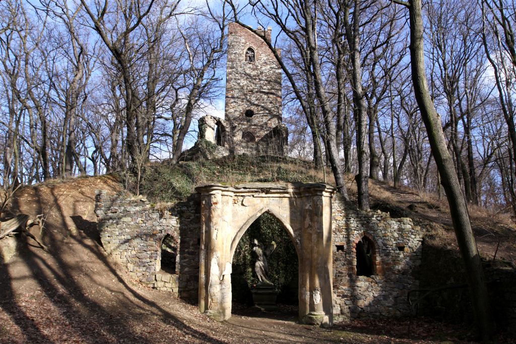 Cibulka