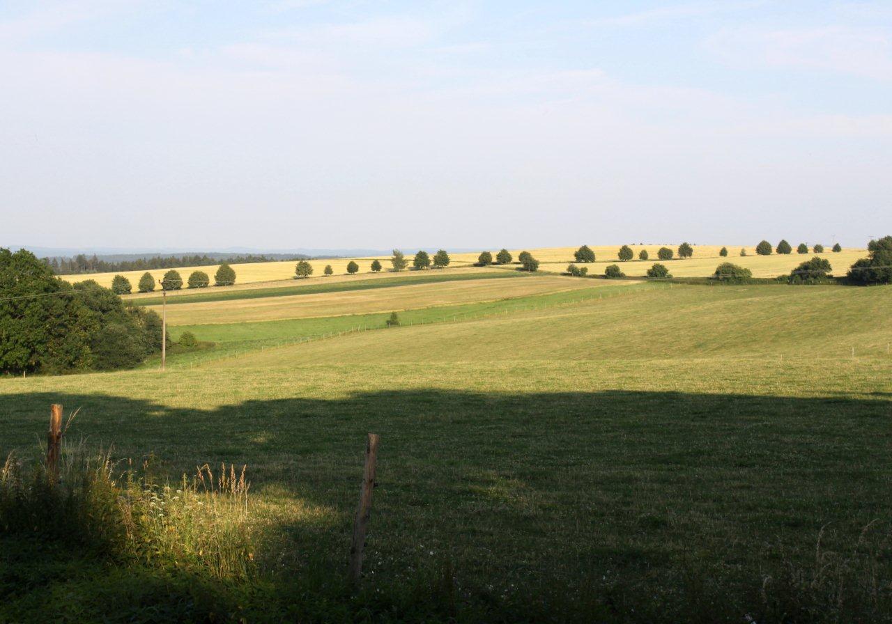 Vyklantice (6)