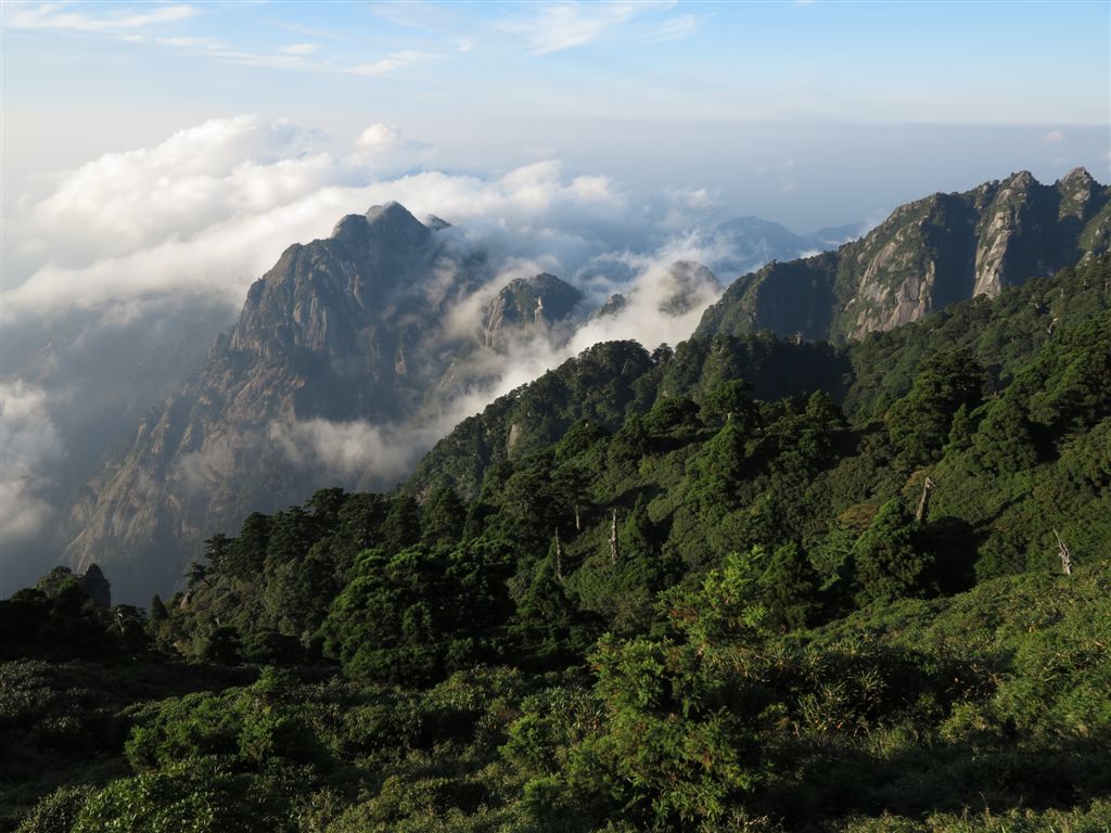Yakushima (48)- UNESCO World Heritage Centre