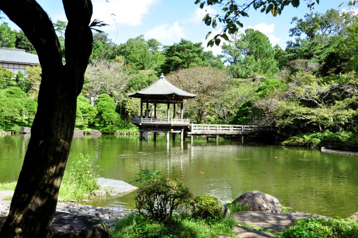 NARITA JAPONSKO (25)