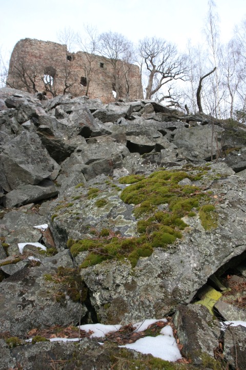 VALDEK (9)