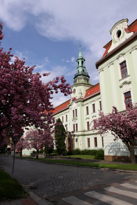 Rokycany (20)