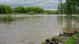záplavy 2013-Berounka