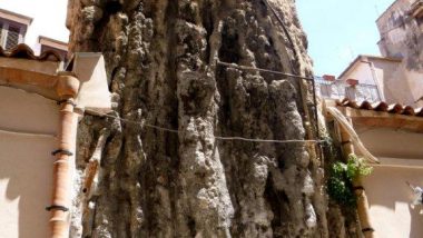 Palermo a starověká kanalizace