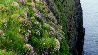 Duncansby head