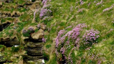 Duncansby head