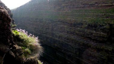 Duncansby head