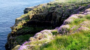 Duncansby head