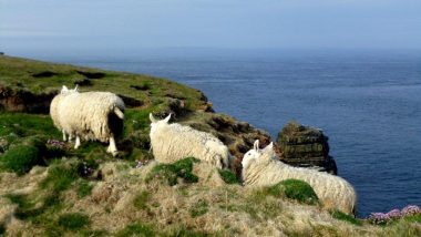 Duncansby head