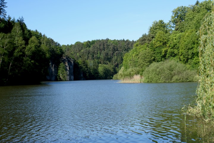 Věžický rybník
