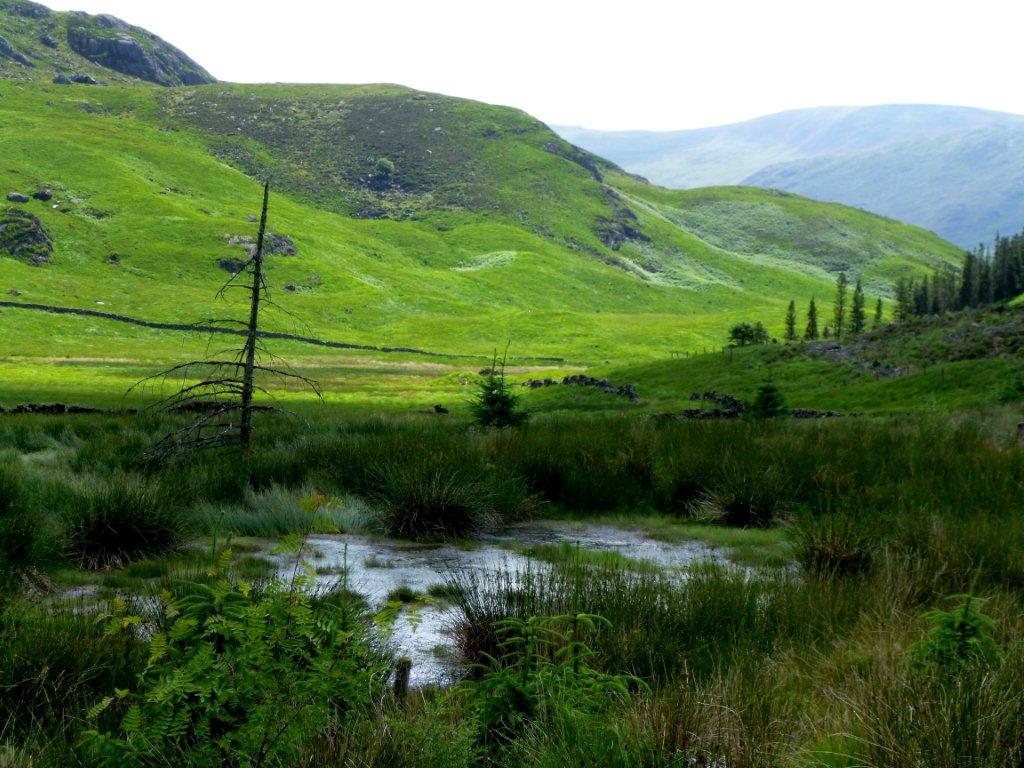 Galloway Forest Park