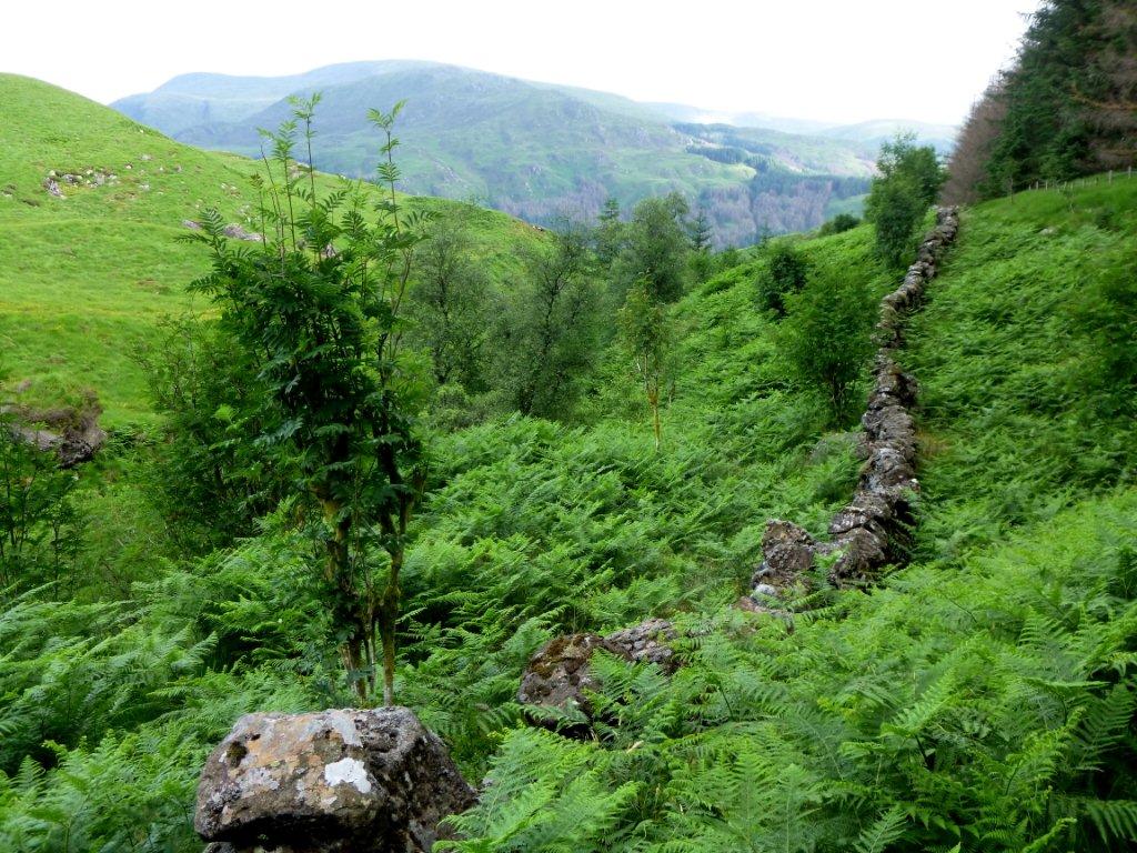 Galloway Forest Park