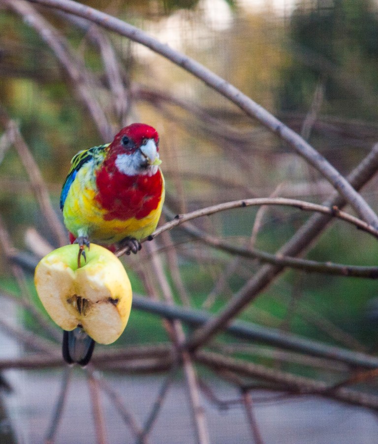 Zoo Praha