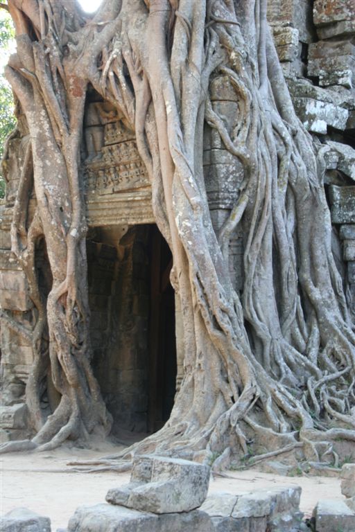 Chrámy v džungli- Kambodža