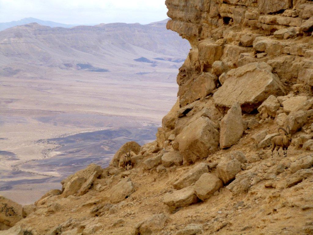 Makhtesh Ramon