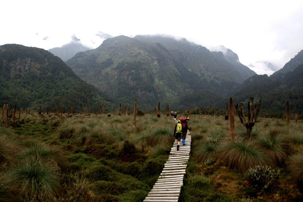 Ruwenzory mountains
