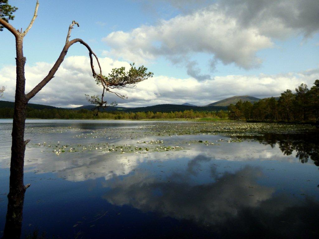 Loch Garten