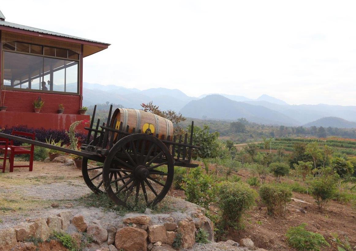 restaurace a degustace vína na Red Mountain