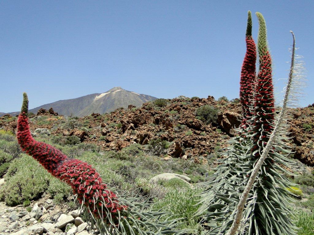 poslední pohledy na Pico del Teide