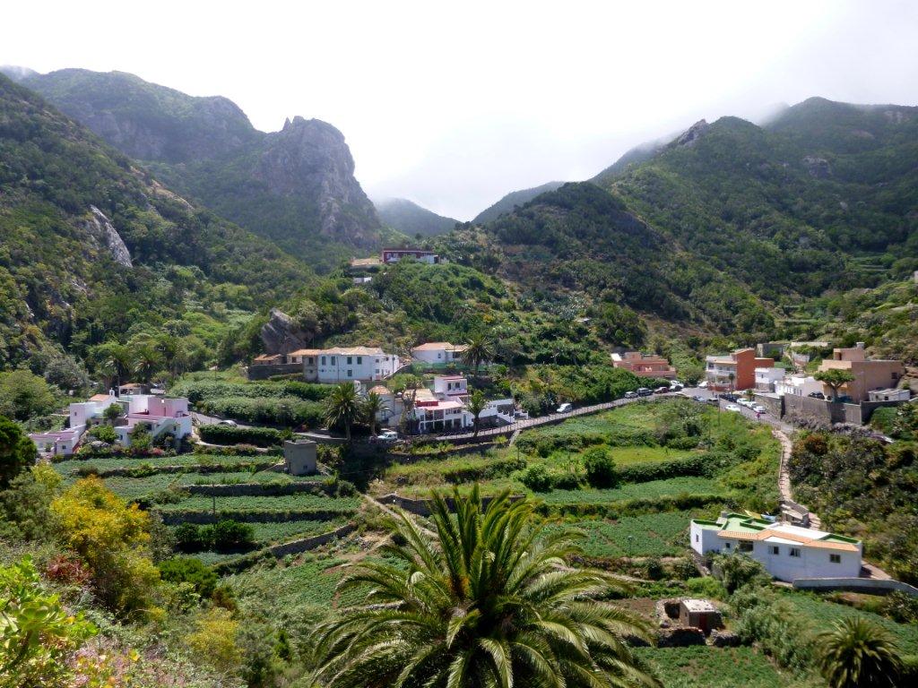 Chamorga