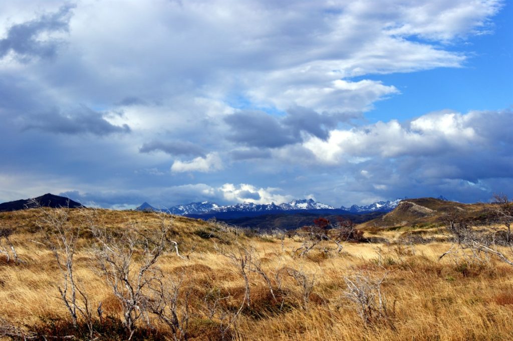 NP Torres Del Paine Chile